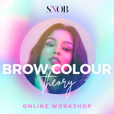 Our brow colour theory workshop help your choose the right colour for your clients